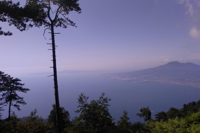Faito Trek Tour, Cable Car Excursion and Scenic Trails - Location and Transportation