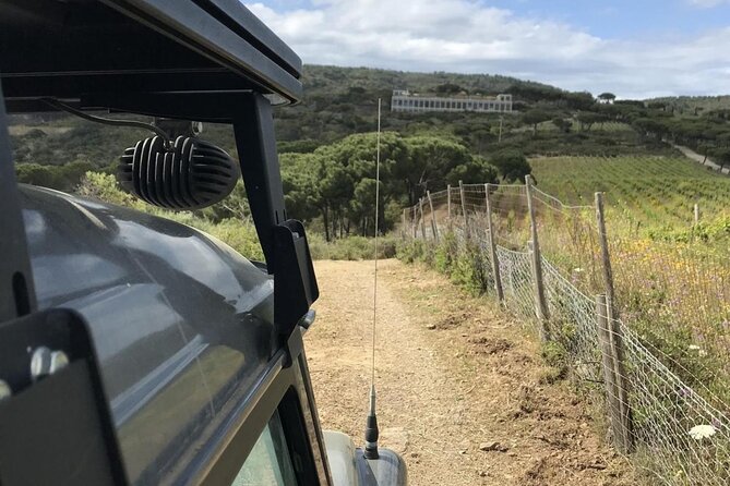 Family Jeep Tour at Ripalte - Reviews and Ratings