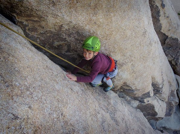 Family Rock Climbing Trips in Joshua Tree National Park (8 Hours) - Customer Reviews and Feedback