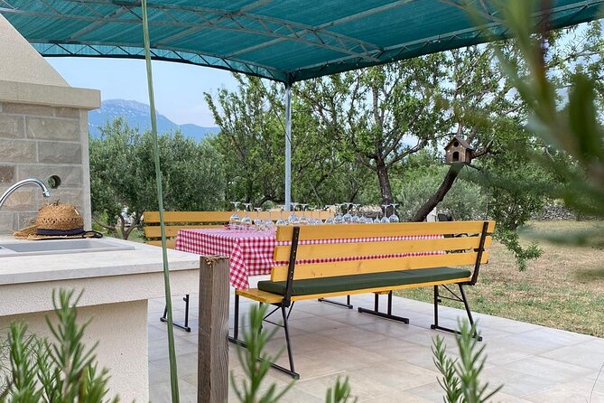 Family-Run Vineyard Tour Review: A Delightful Experience - Accessibility and Suitability