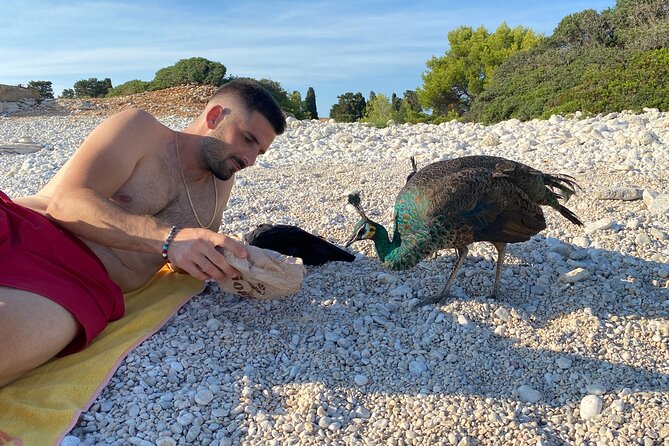 Fazana: (Lunch) Brijuni Islands Cruise & Visit Peacock Island - Highlights of the Experience