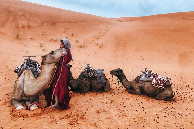Fes to Marrakech 4 Days Desert Tours - Customer Reviews