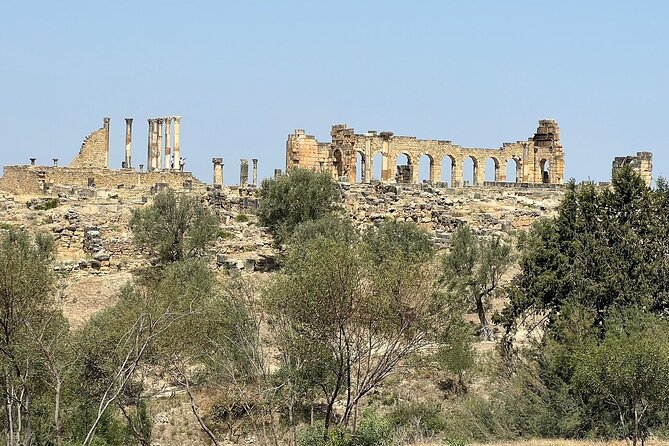 Fès to Volubilis, Moulay Idriss and Meknès Private Day Trip - Discovering Meknès