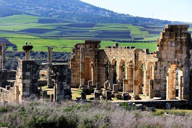 Fes to Volubilis, Moulay Idriss and Meknes Private Day Trip - Discovering Meknes