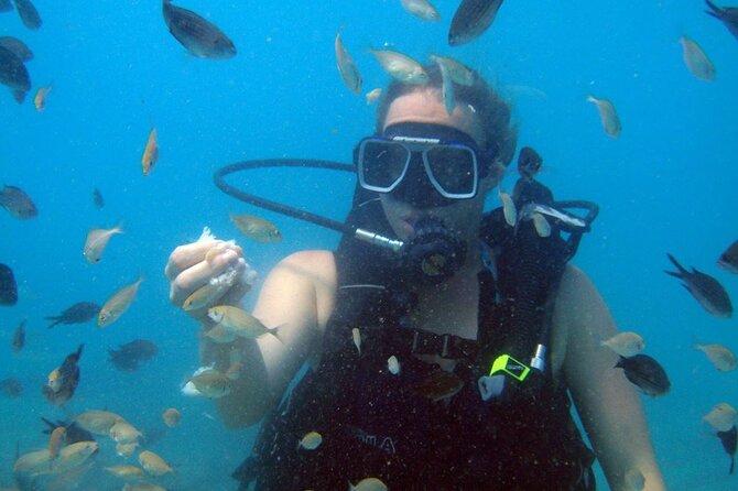 Fethiye Scuba Diving Experience By A Local Expert - Exploring the Fethiye Coast