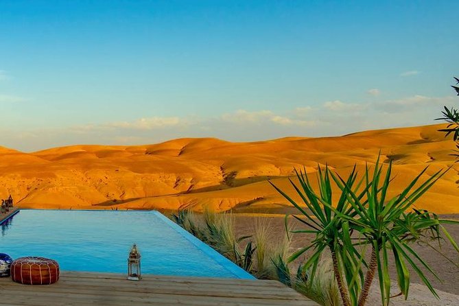 Fez to Marrakech Camel Trekking 3 Days 2 Nights - Reviews and Feedback