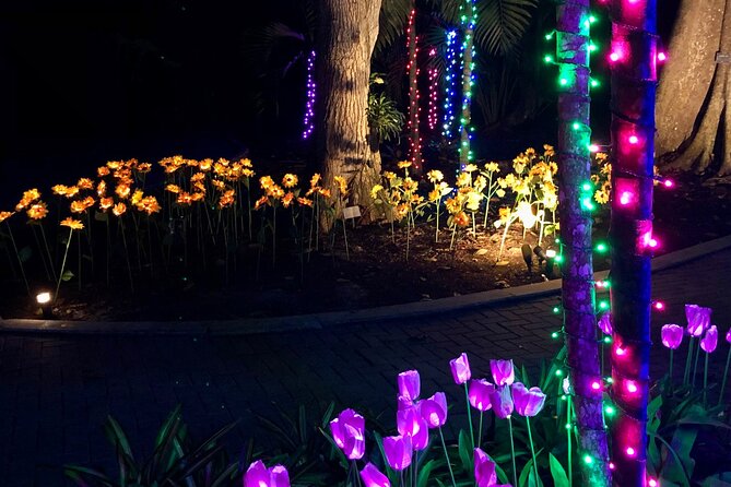 Flamingo Gardens Garden of Lights - Tips for an Enjoyable Visit