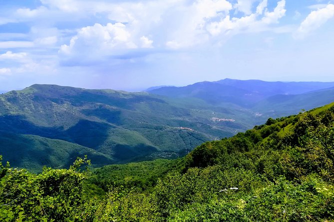 Fly and Ride (Nice Cote Dazure to Sanremo) - Local Cuisine and Dining Options