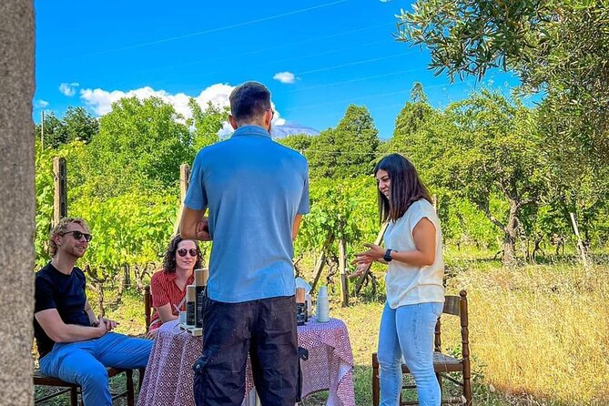 Food and Wine Tour From Taormina With Lunch in a Etna Winery - Tasting Hazelnut Delights