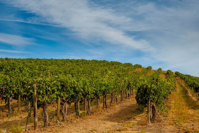 Food & Wine Tour: 11- Course Lunch, Cooking Class, Wine Tasting - Engaging Hosts Knowledge