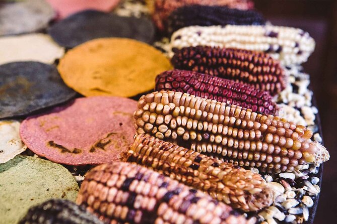 Foodie Tour in Polanco: Mexico Culinary Roots! - Discovering Polancos Hidden Gems