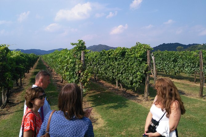 From Abano Montegrotto, Wine Tour in the Euganean Hills - Guest Reviews and Testimonials