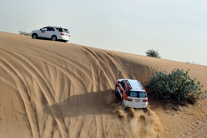 From Agadir or Port Trip to Small Sahara of Massa and Tiznit With Lunch - Accessibility Features
