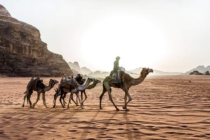 From Amman to Petra and Wadi Rum ( Private Two Days) - Tour Cancellation Policy