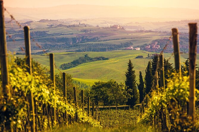 From Bologna: Chianti Wine Experience With Lunch - Guided Tour Experience