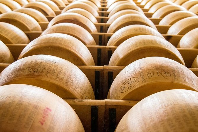From Bologna: Parma Parmigiano and Prosciutto Private Tour - Tour Highlights