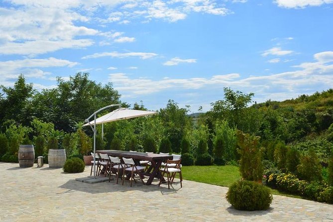 From Bucharest: Private Wine Tasting Tour in Dealu Mare Wineland - Private Transportation and Guide