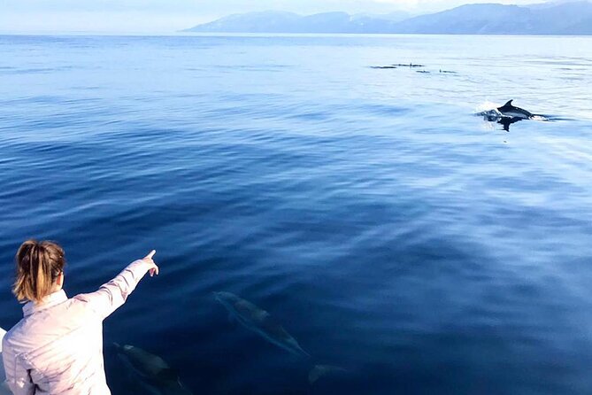 From Cala Gonone: Naturalistic Excursion on a RIB - Navigating the Parking Situation