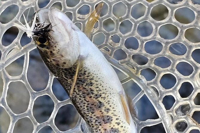 From Catania, Syracuse and Taormina: Fly Fishing Experience - Expert-Led Guidance