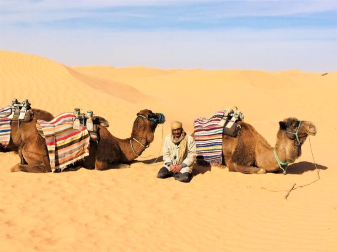 From Djerba: Full-Day Ksar Ghilane, Sahara and Oasis Tour - What to Bring