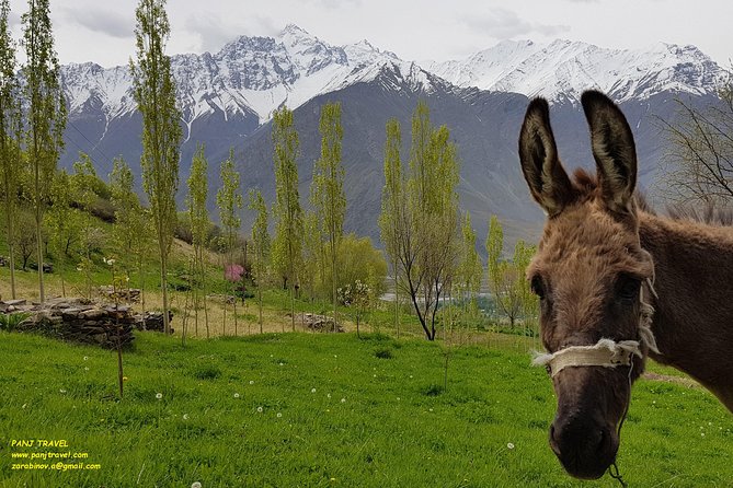 From Dushanbe to Wakhan Corridor and Back - Customer Reviews