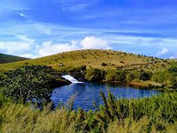 From Ella : Horton Plains National Park & Nuwaraeliya Tour - Customer Reviews and Ratings