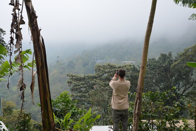 From Seed to Cup - Coffee Experience at La Palma Y El Tucan - Group Size and Accessibility