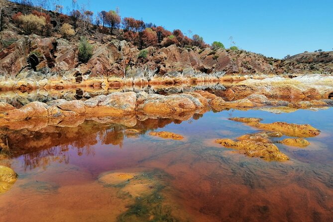 From Seville: Expedition To Mars Private Full-day Tour - Highlights and Itinerary