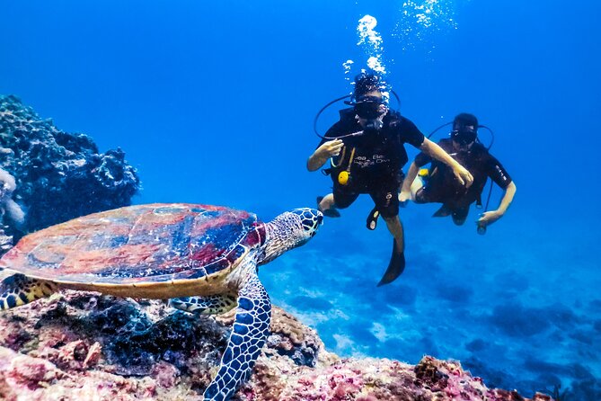 From Side, Alanya: Scuba Diving With 2 Time Dive & Lunch - Contact and Booking Details