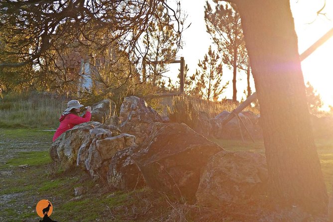 From the Schist Villages of Lousã to the Mills of Penacova - Discovering the Mills of Penacova