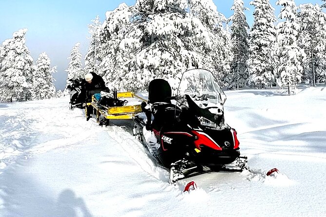 Full Day Activity With Snowmobiles in Rovaniemi - Terms and Conditions