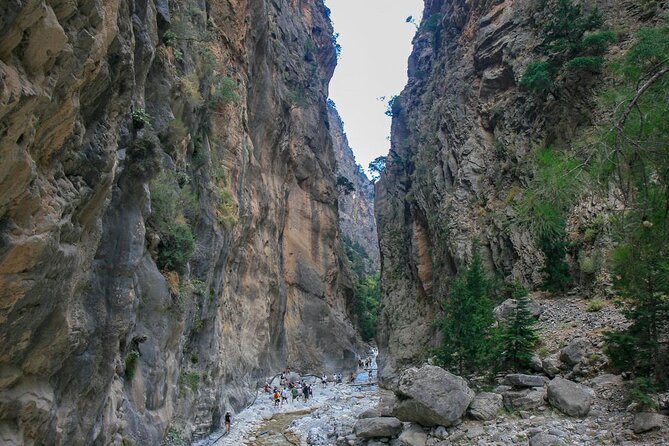 Full-Day Beginners Hiking Route Tour to Samaria Gorge - Highlights of the Hike