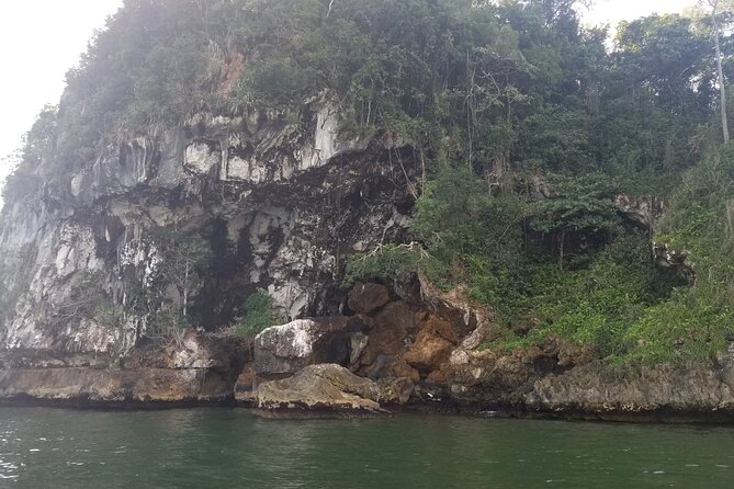 Full-Day Boat Tour of Los Haitises National Park - Boat Tour Highlights