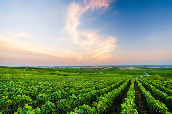 Full Day Champagne Pommery Small Group Tour - Dining and Local Attractions