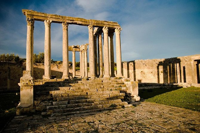 Full Day Dougga & Bulla Regia via Testour Private Tour With Lunch - Booking and Logistics