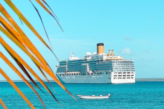 Full Day Excursion to Catalina Island From Bavaro / Punta Cana. - Customer Review Highlights