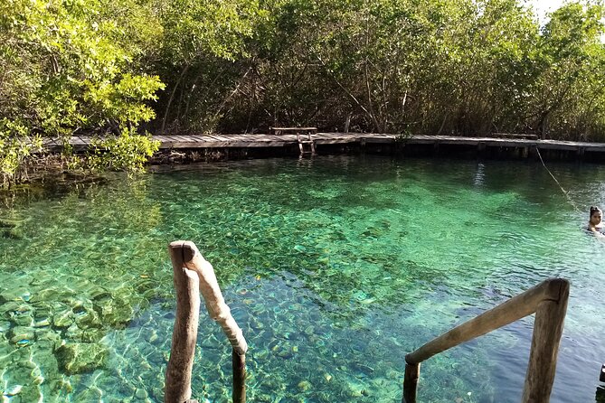 Full Day Excursion to the Best of Holbox From Riviera Maya - Wildlife Sightings and Experiences