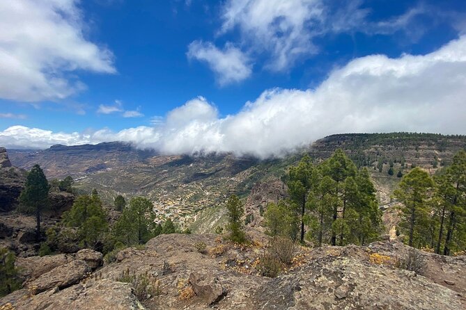 Full-Day Gran Canaria Tour With Teror, Tejeda and Lunch in Fataga - Tour Operator Information
