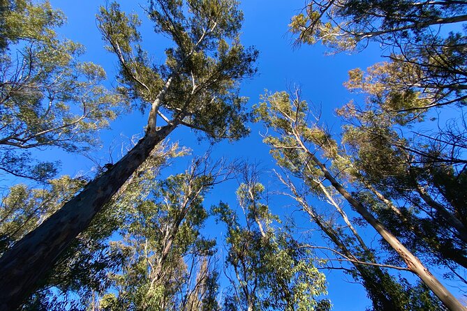 Full-Day Hiking at Ruta the Aqua Across Pena Cortada - Customer Service Assistance