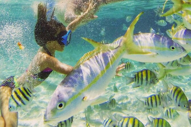 Full Day Isla Bonita Speed Tours - Duration and Schedule