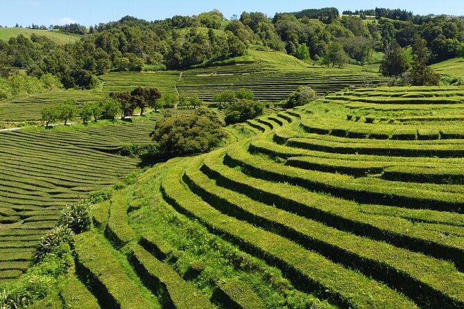 Full-Day Jeep Tour to Furnas - Local Cuisine