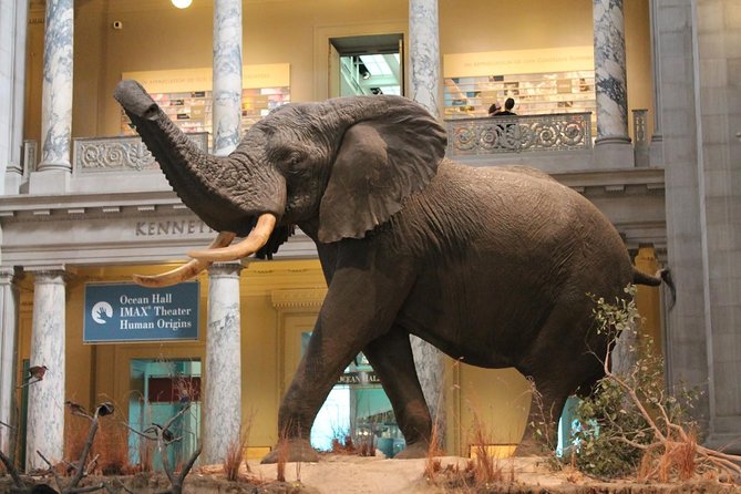 Full-Day Nairobi National Museum, Giraffe Centre and Nairobi National Park Tour - Traveler Reviews and Ratings