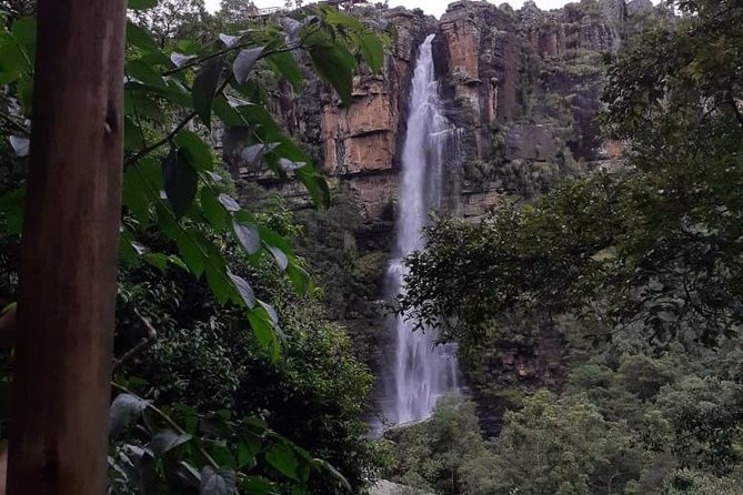 Full Day Panorama Hike and Scenic Tour Minimum 2 People - Traveler Experiences