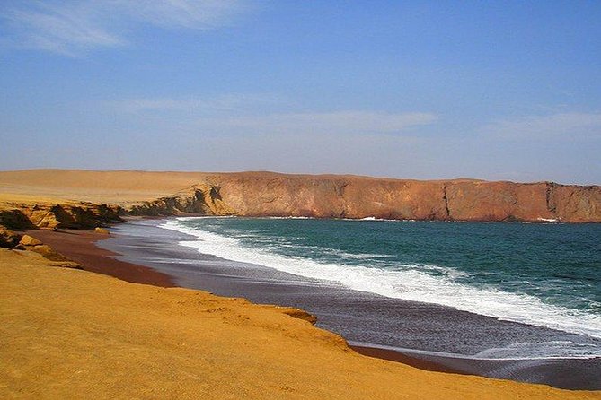 Full Day Paracas - Questions About Your Stay