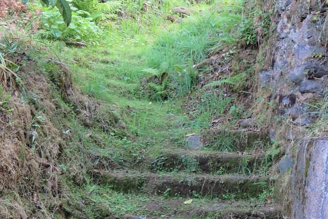 Full Day Private 4x4 Adventure in Madeira - Customization Options