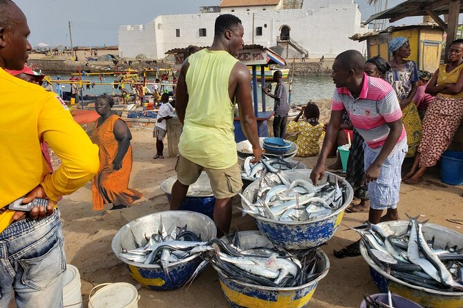 Full-Day Private Cape Coast Tour - Customer Reviews and Feedback