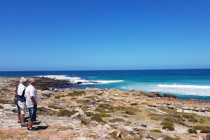 Full-Day Private Cape Peninsula Tour - Cancellation Policy