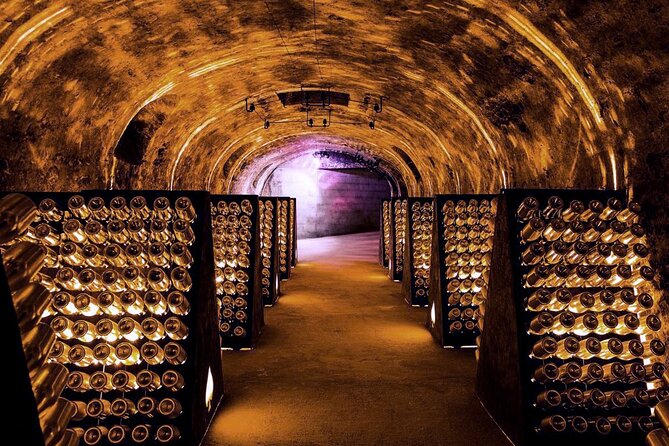 Full-Day Private Champagne Tasting in Reims and Its Vineyards - Participant Reviews and Feedback