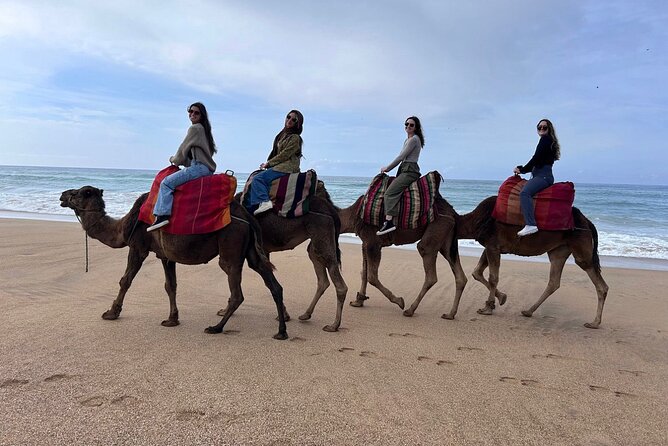 Full Day Private Tangier Tour From Cruise Ship All Inclusive - Pricing and Group Size