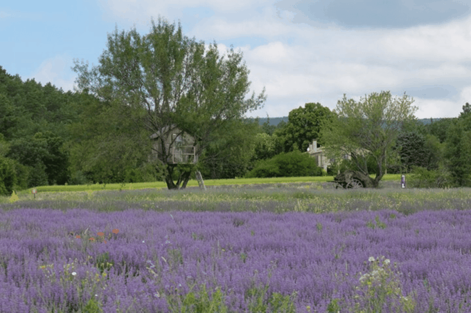 Full Day Private Tour From Arles or the Alpilles - Reservation Details